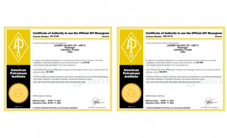 API 600 & APi 6D Monogram Certification