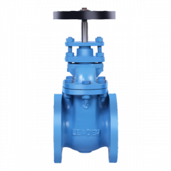 CI004 Cast Iron Gate Valve Class-125 (Flanged)