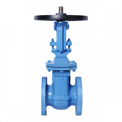 CI011 Cast Iron Gate Valve Class-125 (Flanged)