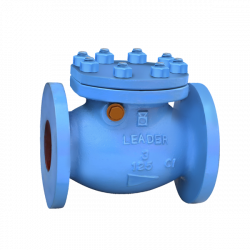 CI017 Cast Iron Swing Check Valve  Class-125 (Flanged)