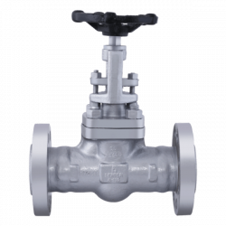 FCS041 Forged Steel Globe Valve Class-300 (Flanged)