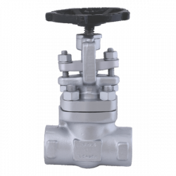 FCS007 Forged Steel Globe Valve  (Socket Weld / Screwed)